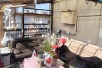 Tokyo Guest House 2020 Dış mekan fotoğraf